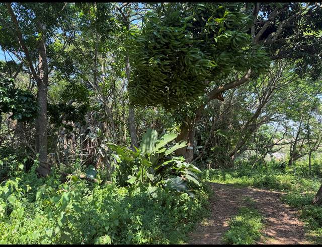 2,520M² VACANT LAND FOR SALE IN SEATON ESTATE